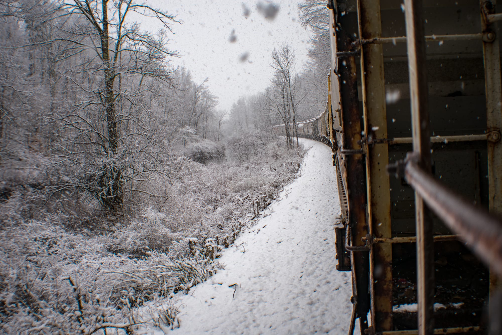 The Silver Path through an Ivory Blanket (2020)