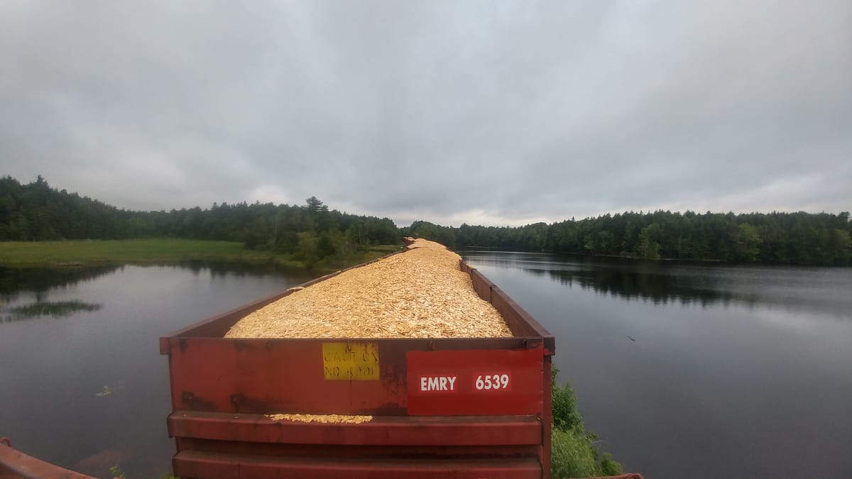 The Wood Chip Train Can (2018)