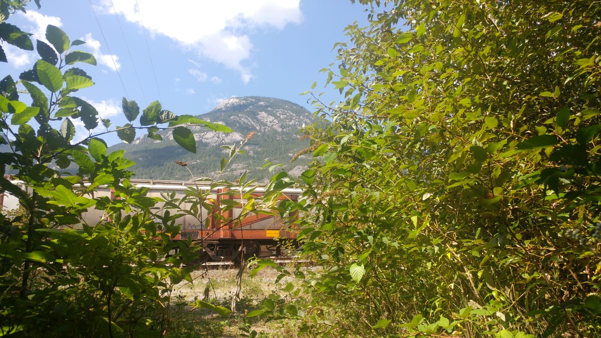 That Night Train to Whistler (2019)