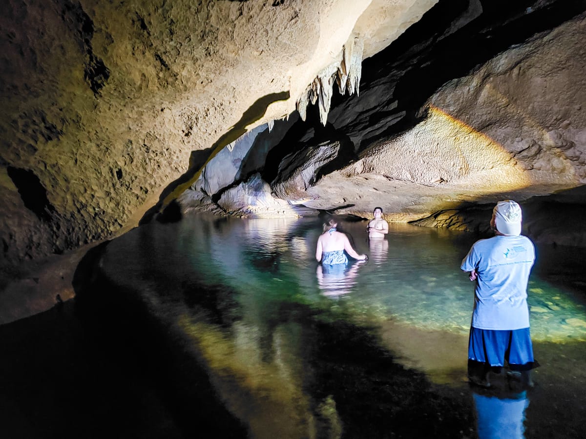 Jungle Night and a Cave to Swim in (2022)