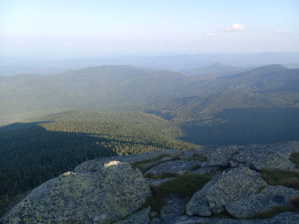 Herb on a Peak (2023)