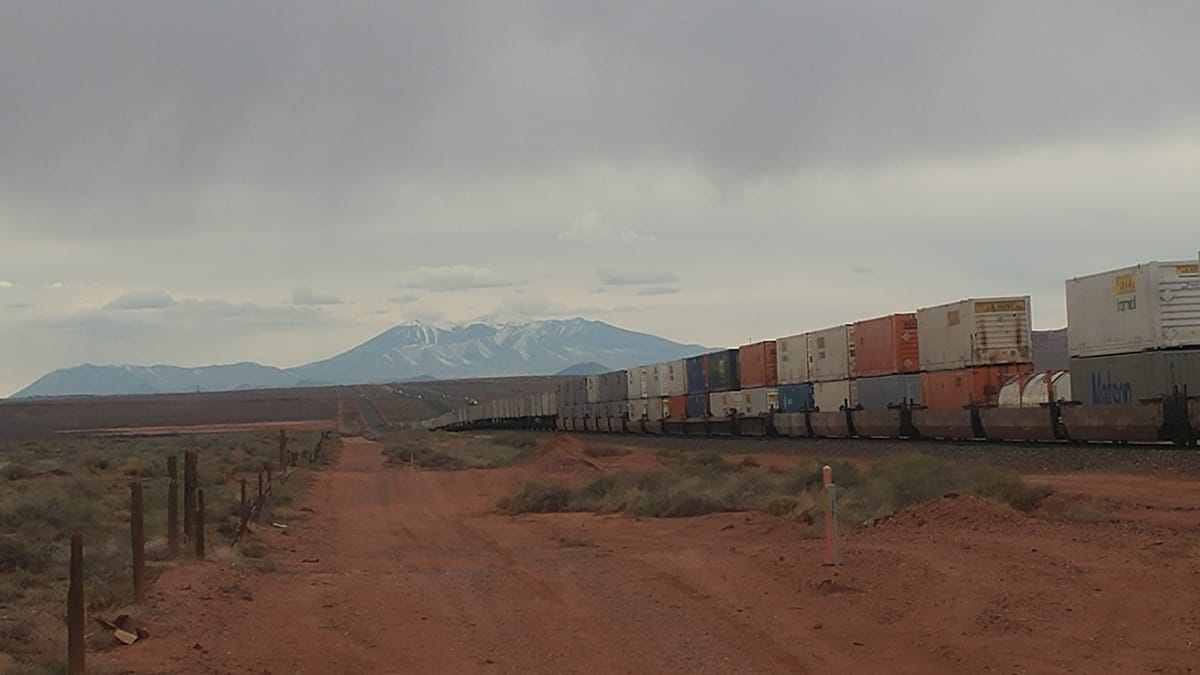 A Pig Really Does Have Wings (2019)