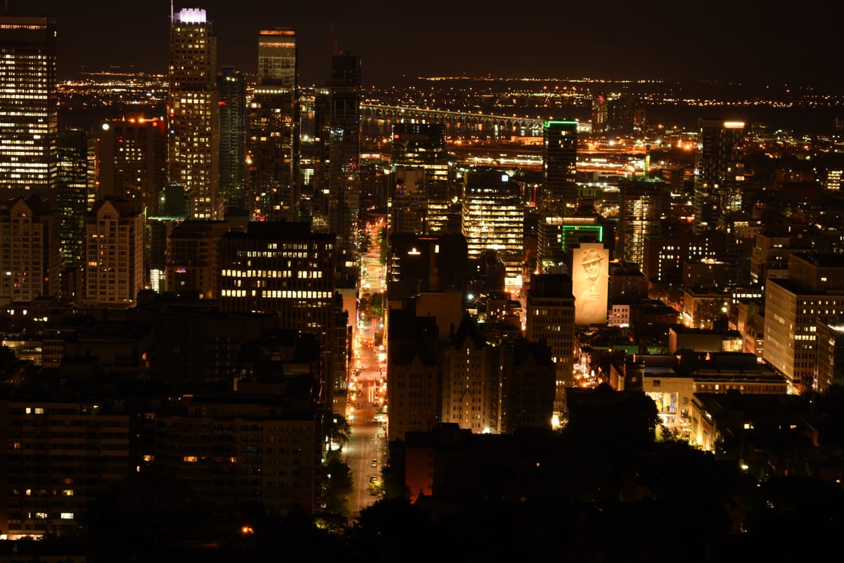 Mount Royal and the Raccoons (2019)