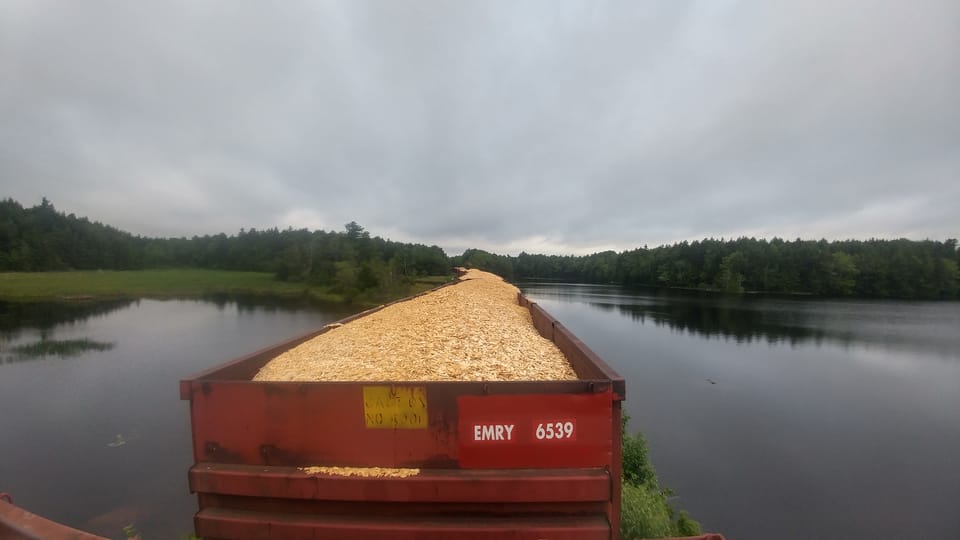 The Wood Chip Train Can (2018)