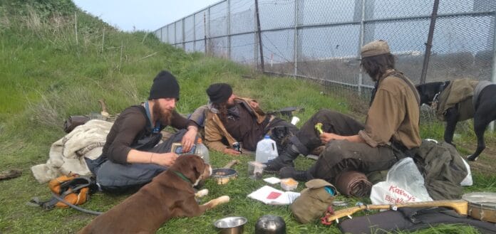 Ayoooooo Taco the Ankle Biter and the Roseville Crew (2021)