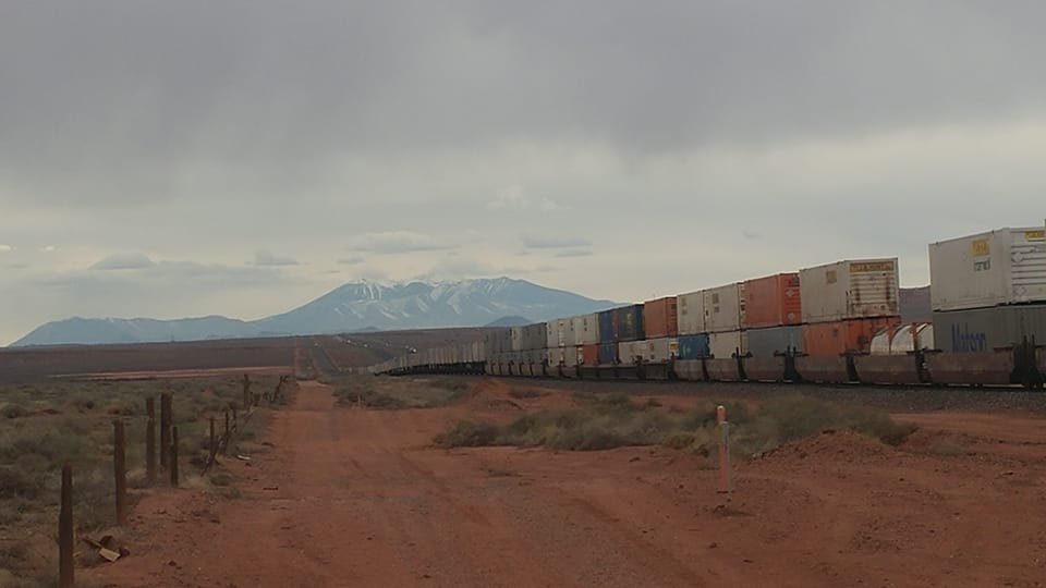 A Pig Really Does Have Wings (2019)