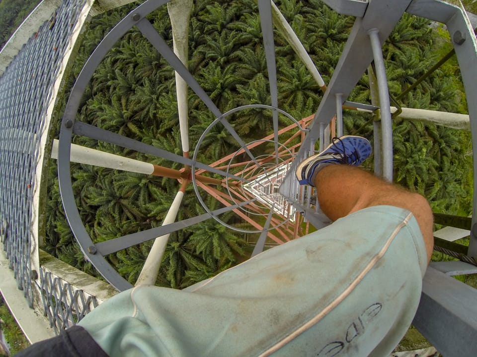 Chaah & the Den of Pythons (2015)